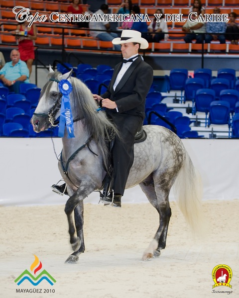 luis rivera